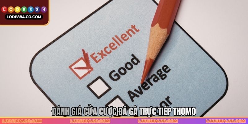 Đánh giá cửa cược Đá gà trực tiếp Thomo