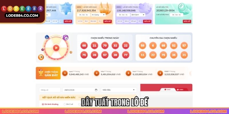 Dây Tuất Trong Lô Đề Lode88 - Cách Để Cá Cược An Toàn