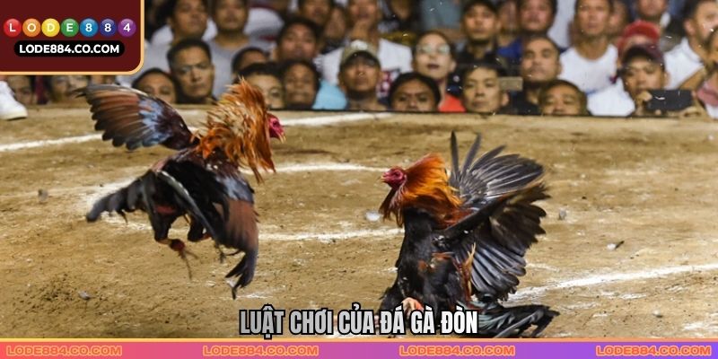 Luật chơi của Đá gà đòn